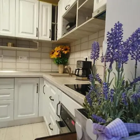 Apartament 3 Spatios * Timisoara